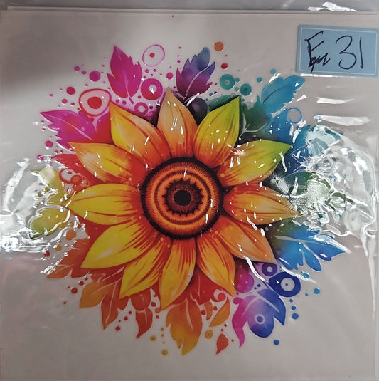 F31