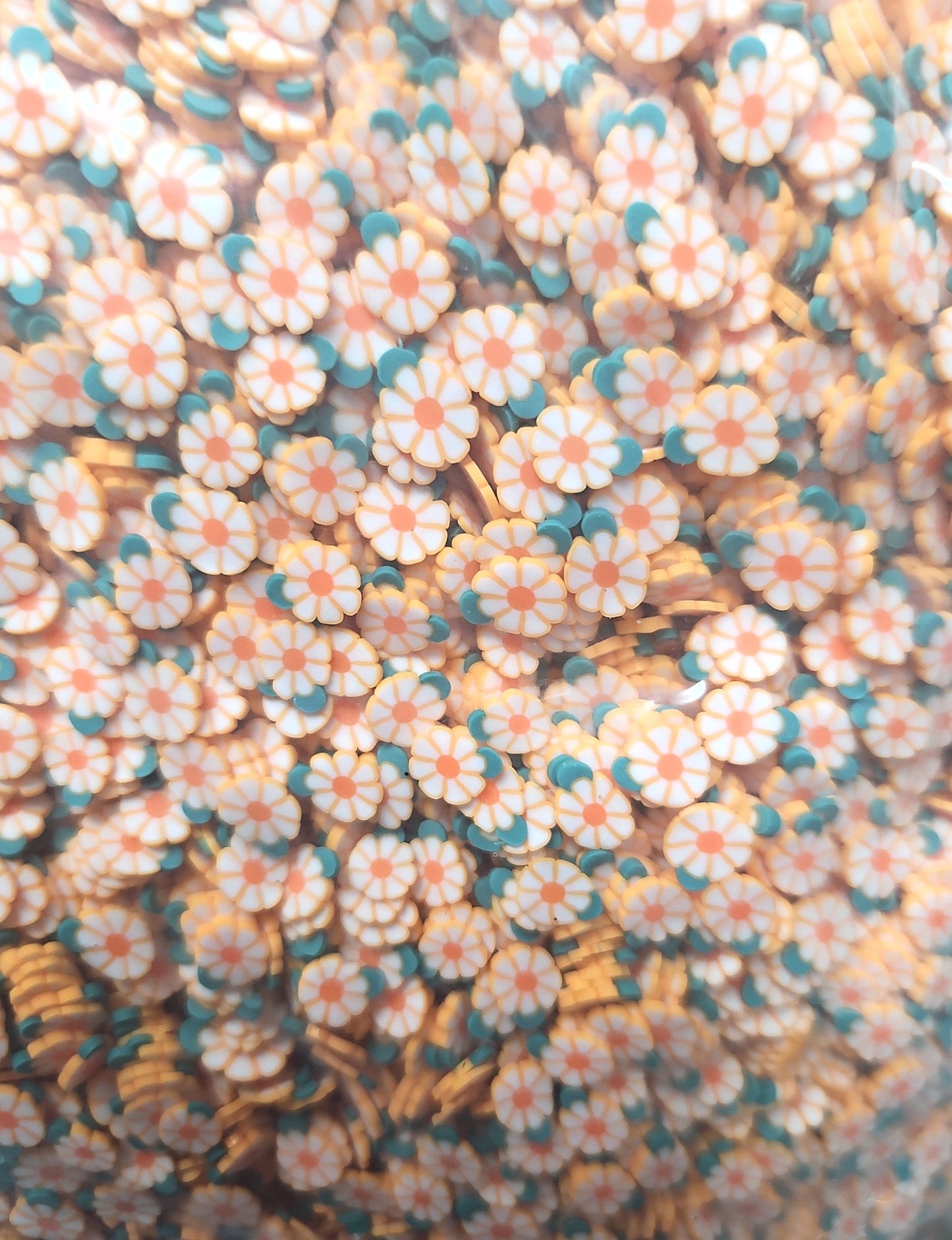 232c-orange flower