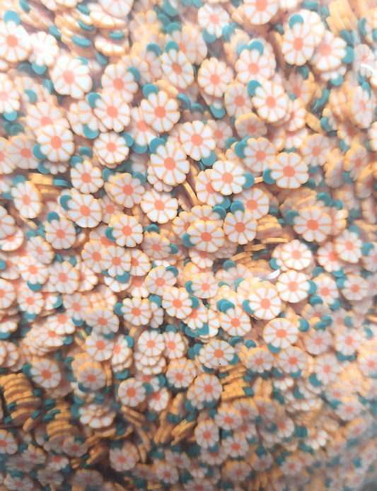 232c-orange flower