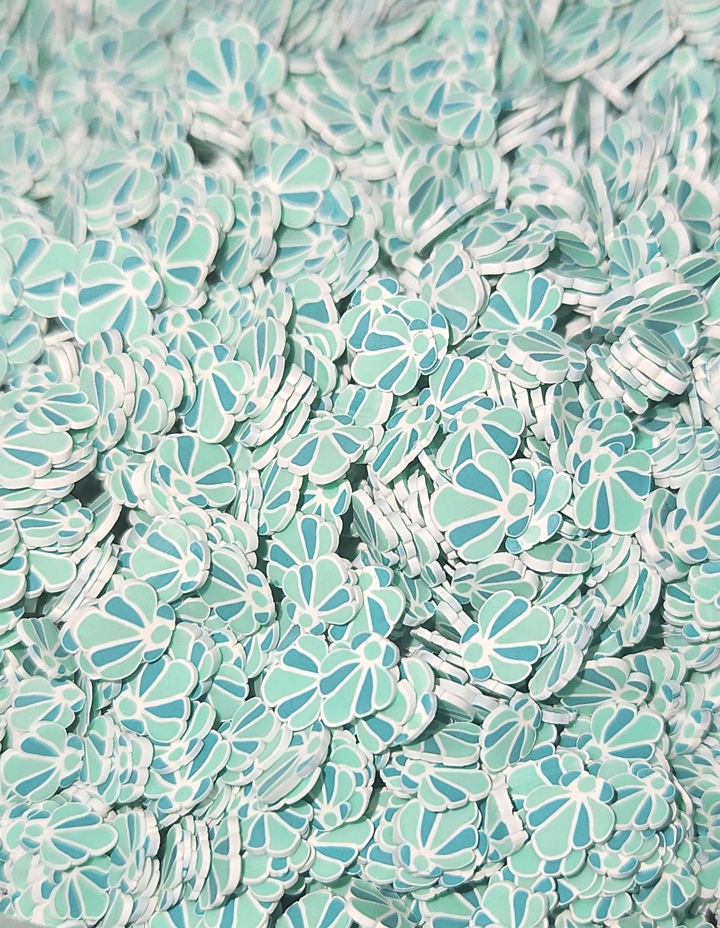 348c-teal shell