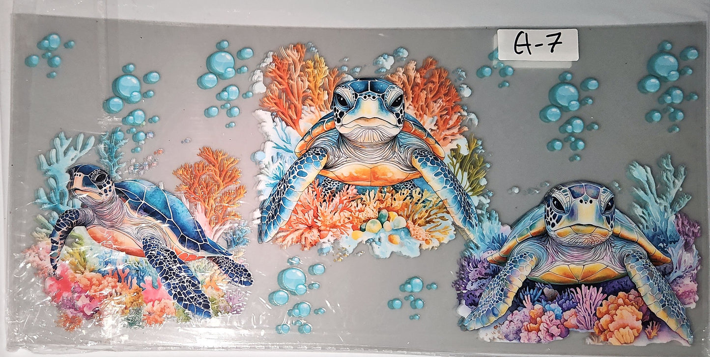 A7- turtles