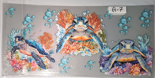 A7- turtles