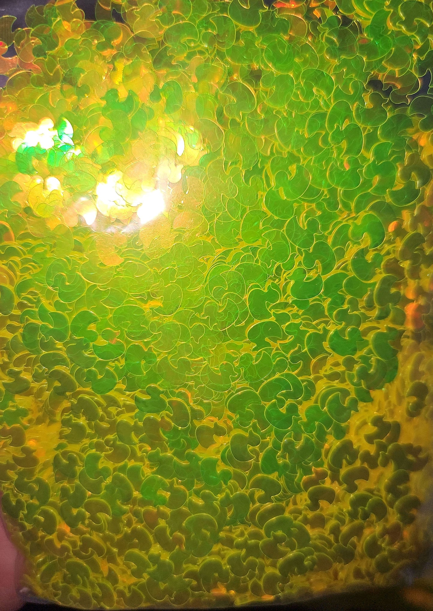 Duckies glitter