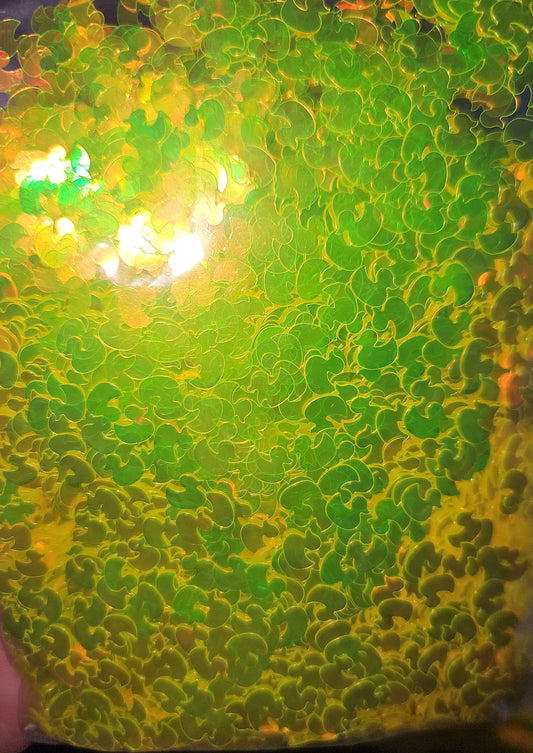 Duckies glitter