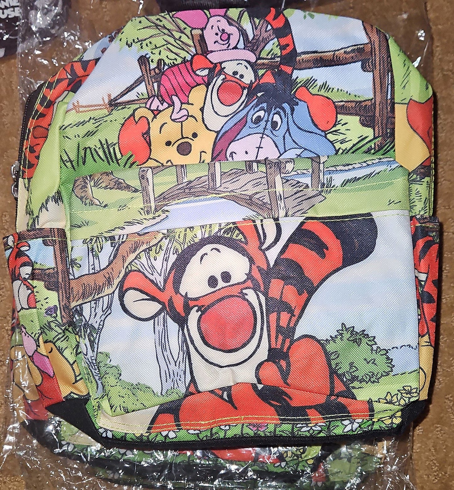Canvas Disney backpacks
