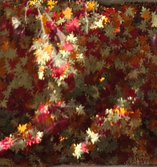 Autumn leaves