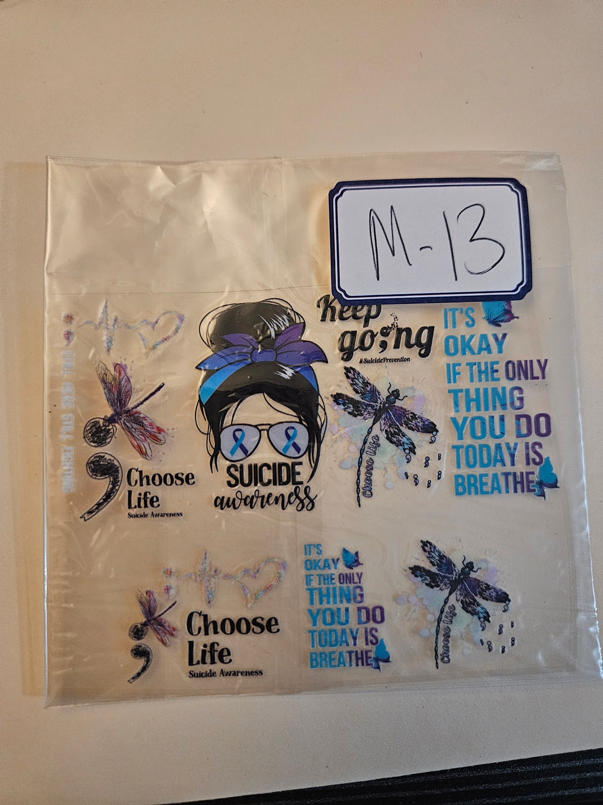 M13