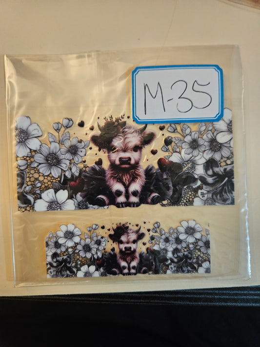 M35